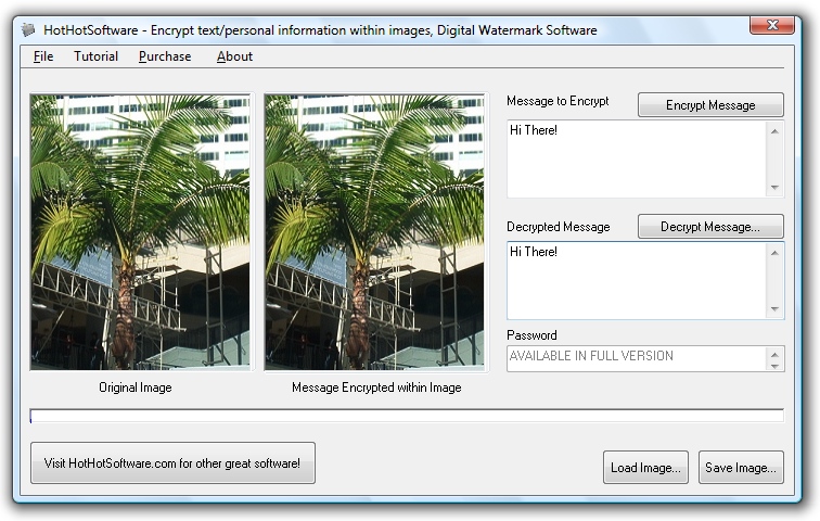 Encrypt your text within image files! Digital wate screenshot